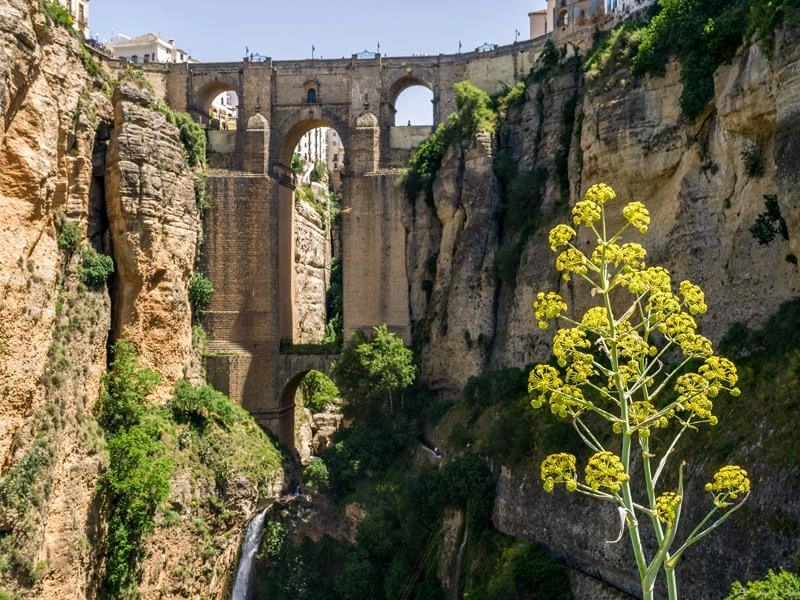 view-new-bridge-ronda